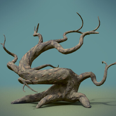 Древо