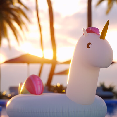 Summer Unicorn