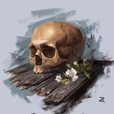 Skull study