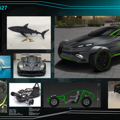 Project 527