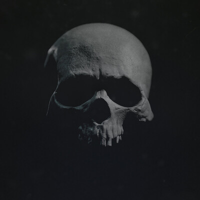 Skull