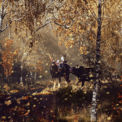 Лоси осенью