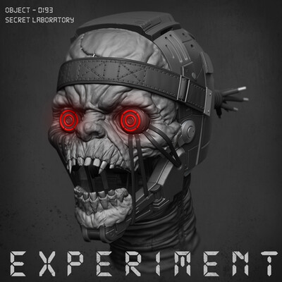 E X P E R I M E N T