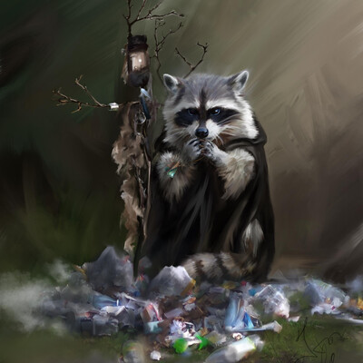 Magician raccoon