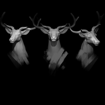 deer