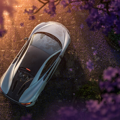 Mclaren - Jacaranda garden