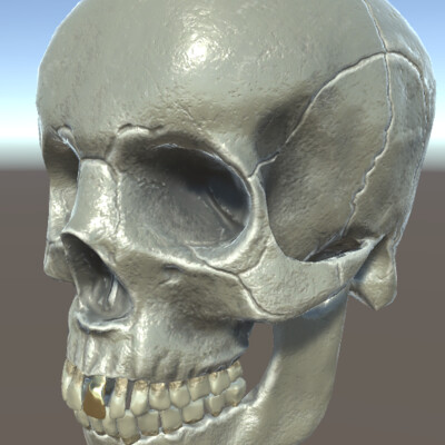Skull for Unity