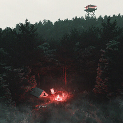 Mystical forest