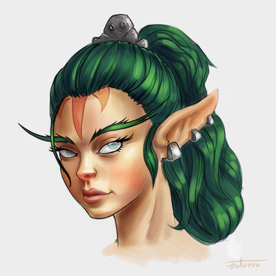 Elves portraits