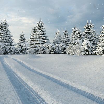 Snow