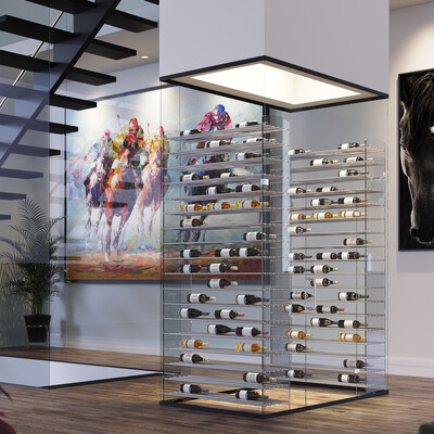 Wine section in the private house