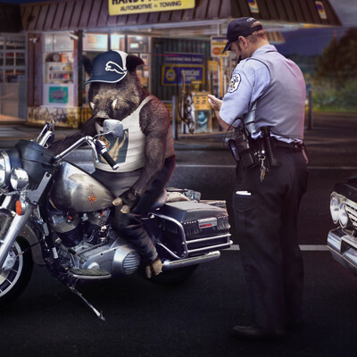 Boar biker