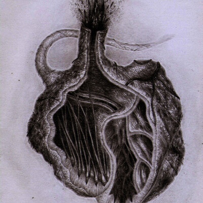 " Сердце ".