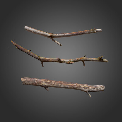 3D Branch asset - Photogrammetry Scan