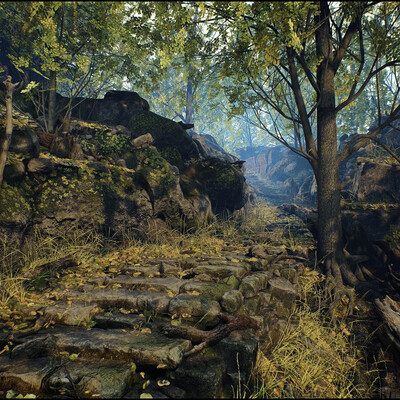 environment - forest, step, stones, trees, sun, shade