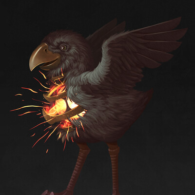 Bird