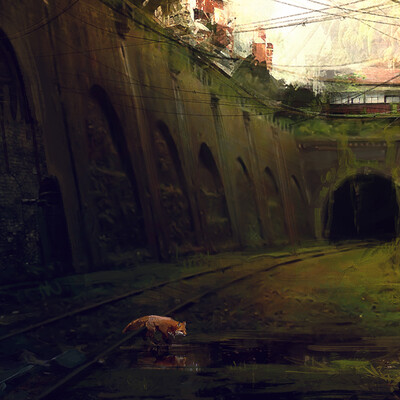 Foxes
