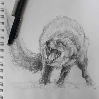 pencil sketches