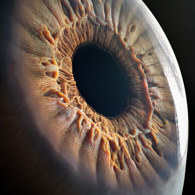 Глаз / Realistic Eye