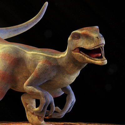 Raptor