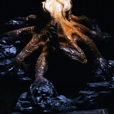 PACIFICUS