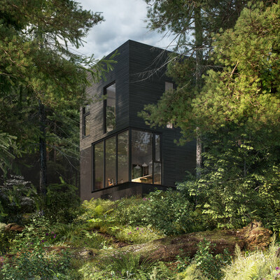 HOUSE IN THE FOREST