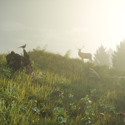 Landscape/ Forest glade