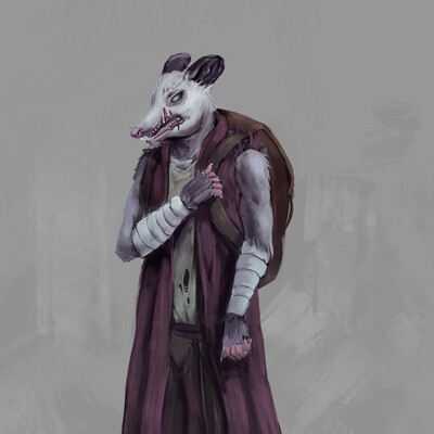Opossum concept