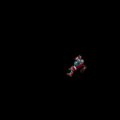 Spine animation