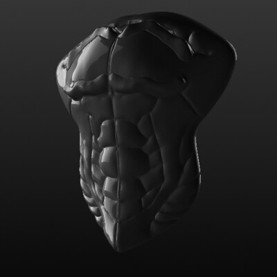 Body