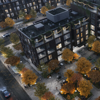 BLD