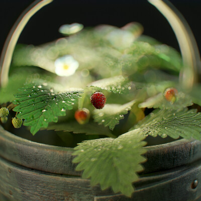 The little strawberry in the bucket