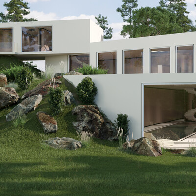 House in Lesniki