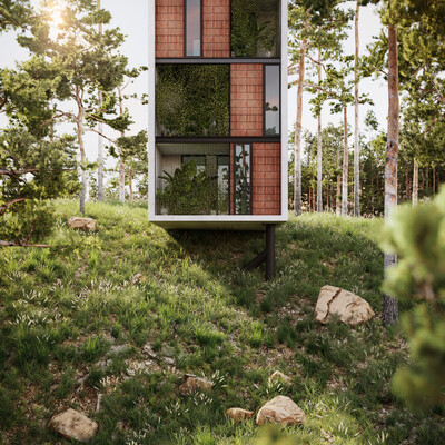 House in forest