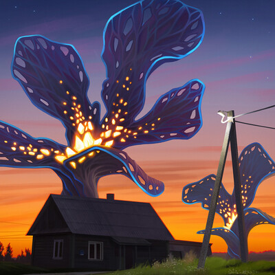 Evening flowers