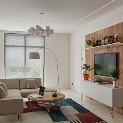 Living room - Kitchen #1