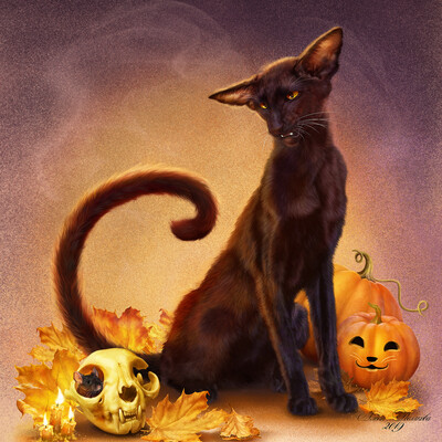 Feline halloween