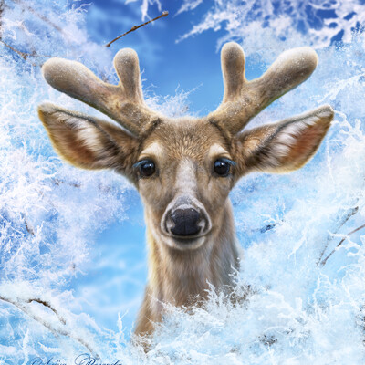 Winter morning