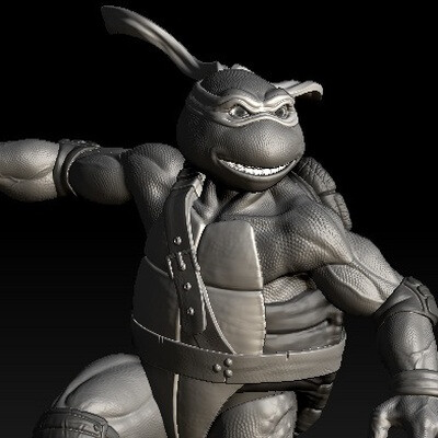 Old Ninja Turtles Miki
