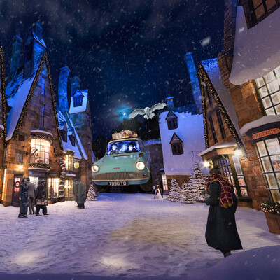 The Wizarding World of Harry Potter
