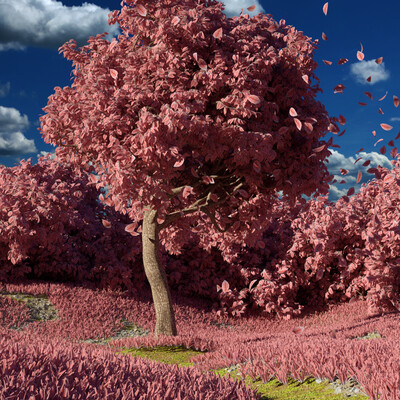 Trees