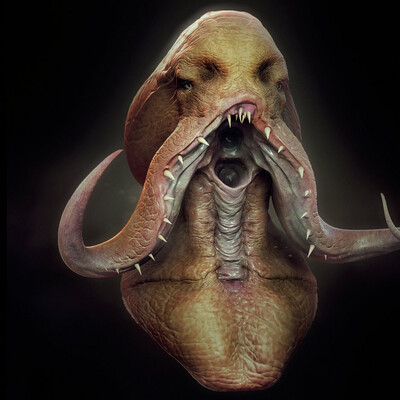 Octopus