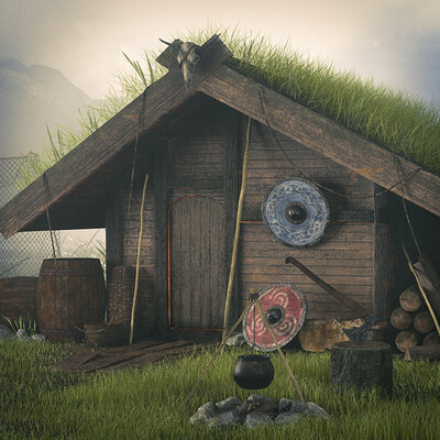 Viking house