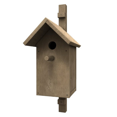 3D model Bird's house A