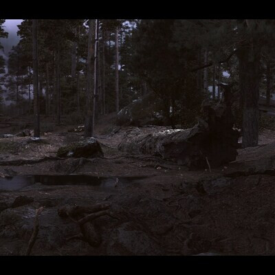 3D forest