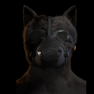 Dog from the resistance covid-19