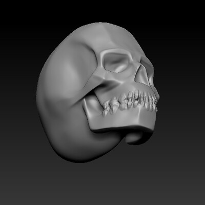 Skull