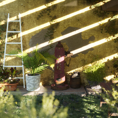 garden