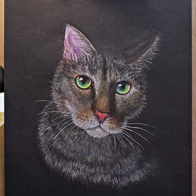 Котик