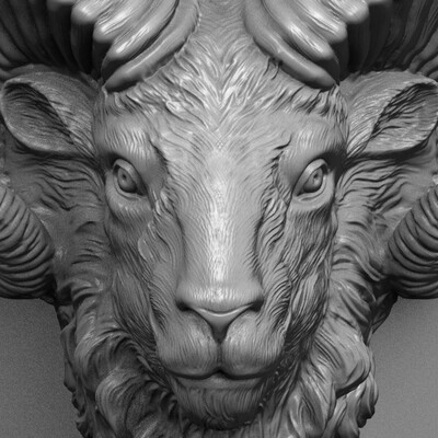 Ram head